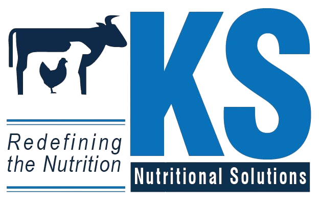 ksns Global Logo